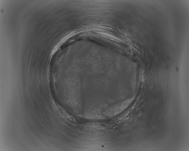 X0000081470244200702021839