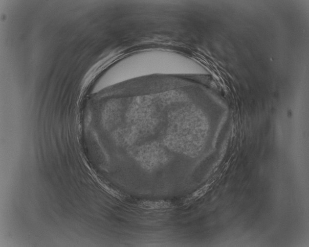 X0000081470245200702021839