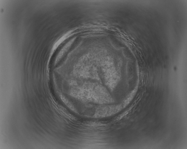 X0000081470246200702021839