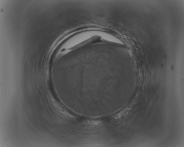 X0000081470247200702021839