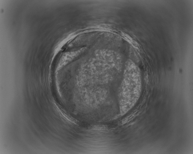 X0000081470248200702021839