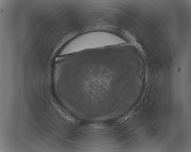 X0000081470250200702021839