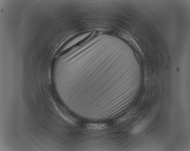 X0000081470251200702021839