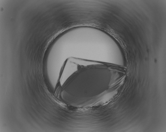 X0000081470252200702021839