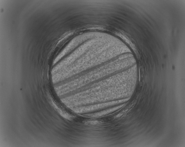 X0000081470253200702021839