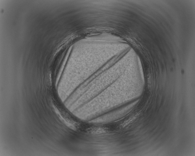 X0000081470254200702021839