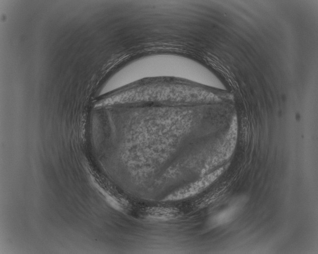 X0000081470255200702021839