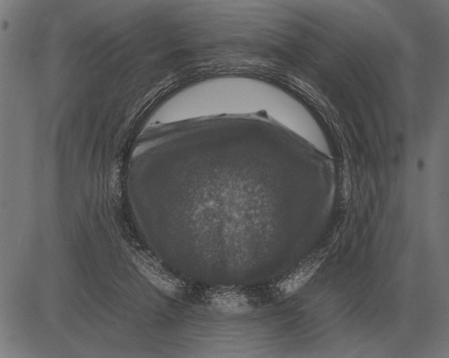 X0000081470258200702021839