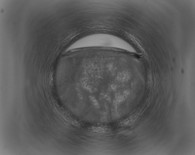 X0000081470259200702021839