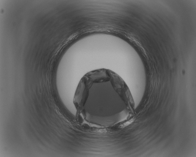 X0000081470260200702021839