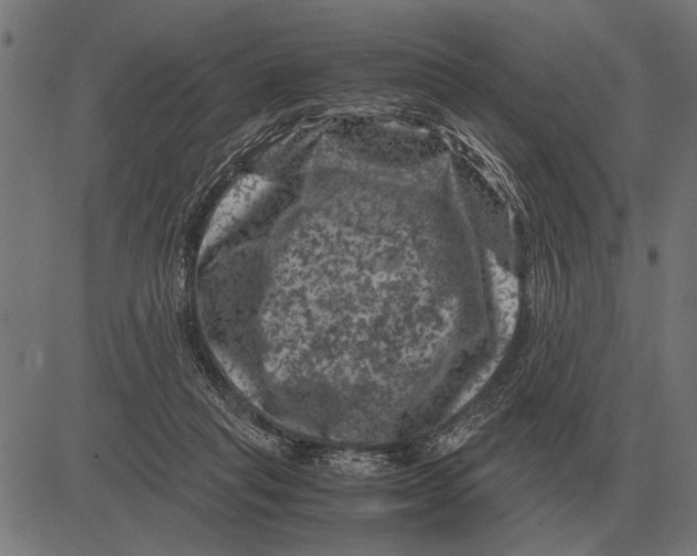 X0000081470261200702021839