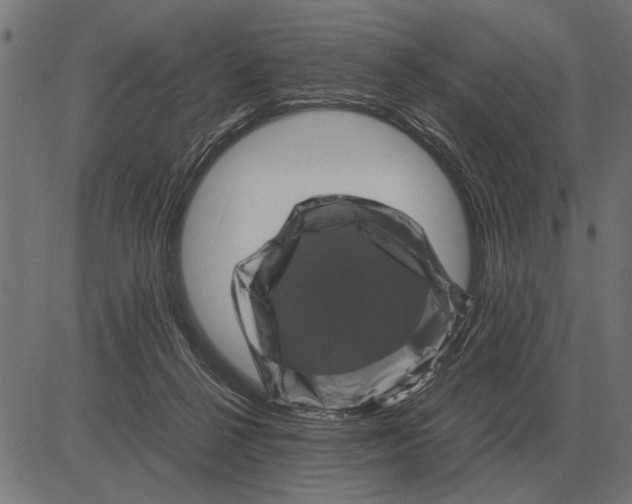 X0000081470264200702021840