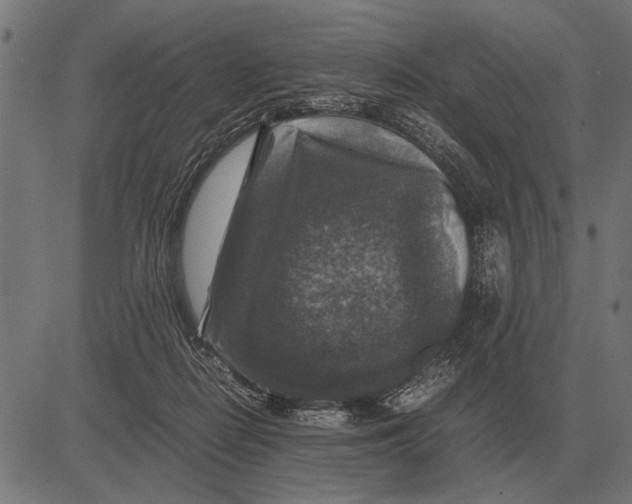 X0000081470266200702021840