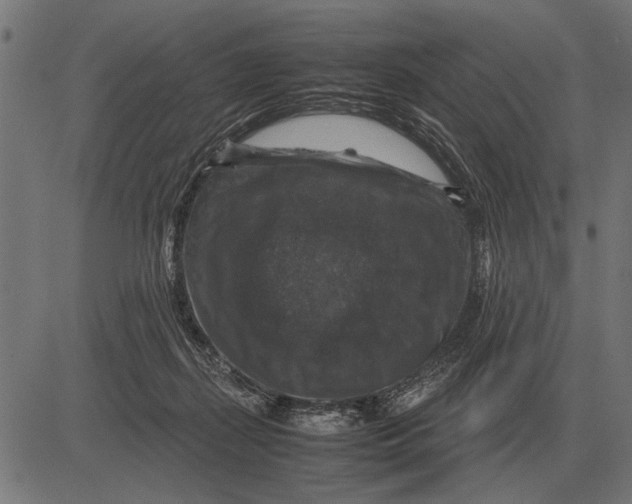 X0000081470267200702021840