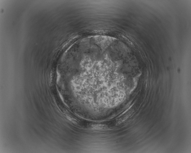 X0000081470268200702021840