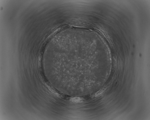 X0000081470269200702021840