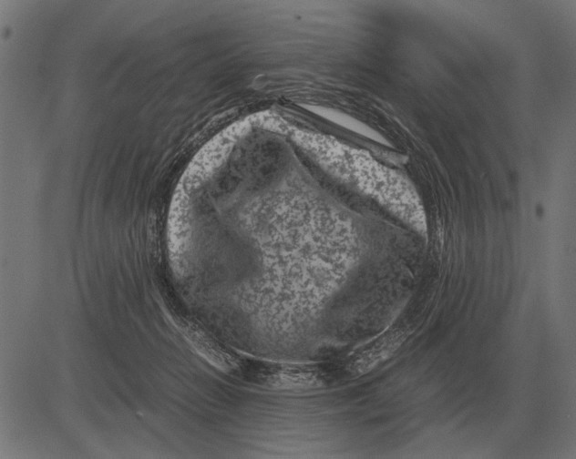 X0000081470270200702021840