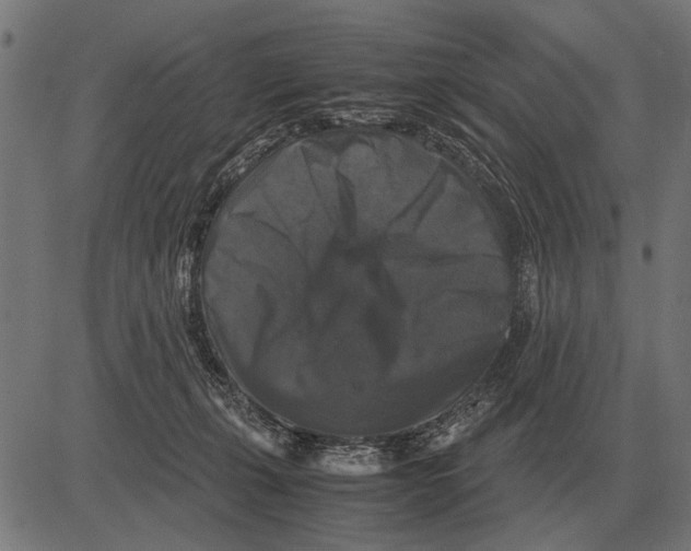 X0000081470271200702021840