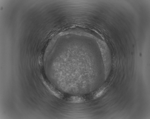 X0000081470272200702021840