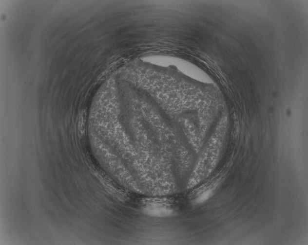 X0000081470273200702021840