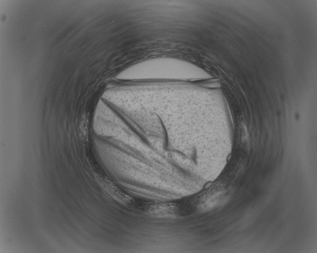 X0000081470274200702021840