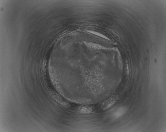 X0000081470275200702021840