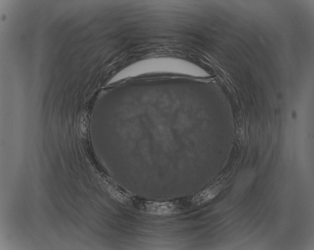 X0000081470277200702021840