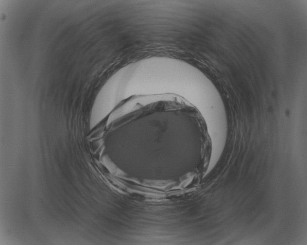 X0000081470280200702021840