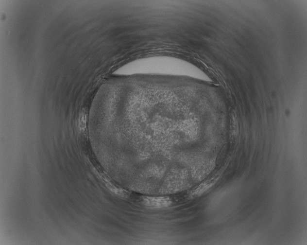 X0000081470281200702021840