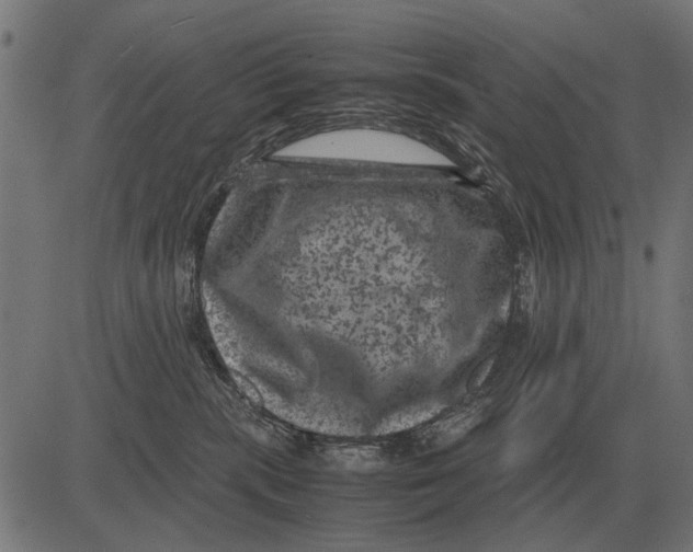 X0000081470283200702021840