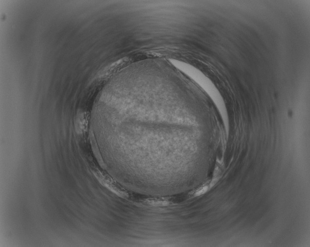 X0000081470284200702021840