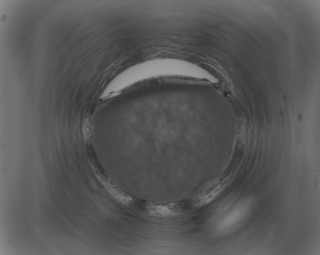 X0000081470285200702021840