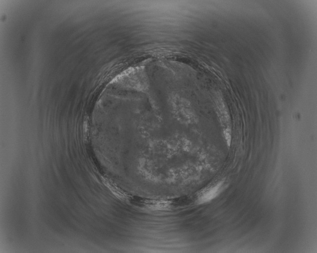 X0000081470288200702021840