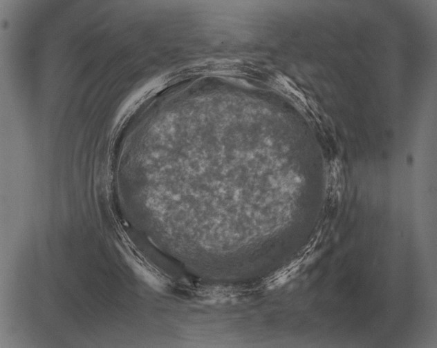 X0000081470293200702021839