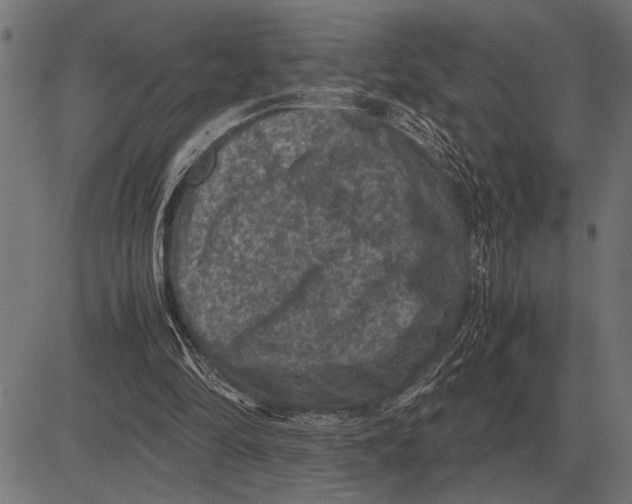 X0000081470294200702021839