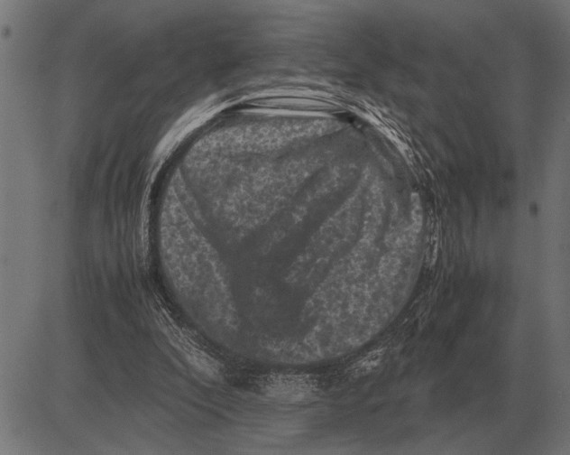 X0000081470296200702021839