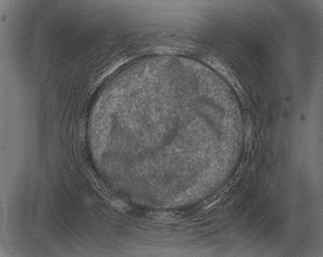 X0000081470297200702021839