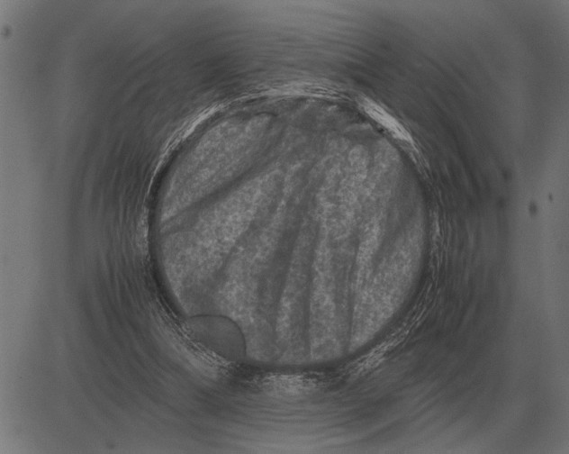 X0000081470298200702021839