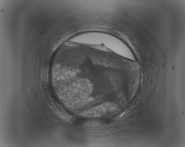 X0000081470299200702021839