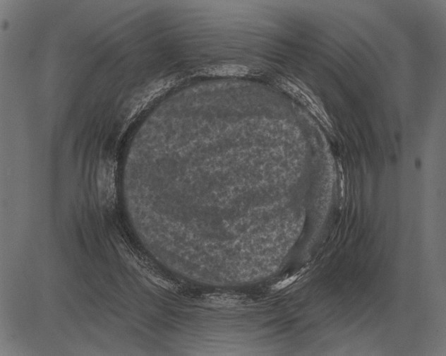 X0000081470300200702021839