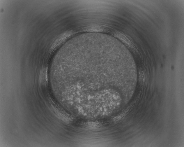 X0000081470302200702021839