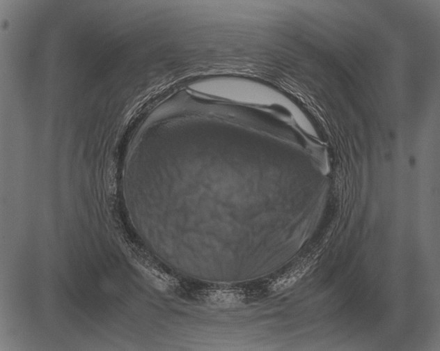 X0000081470303200702021839