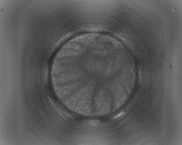 X0000081470304200702021839