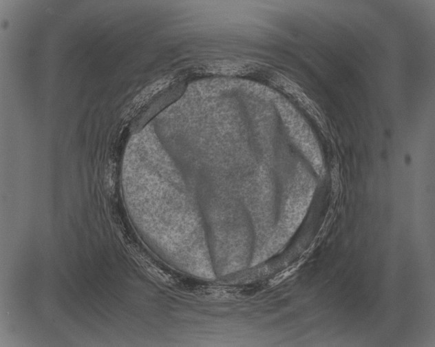 X0000081470305200702021839