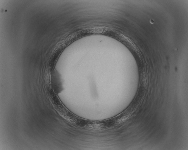 X0000081470307200702021839