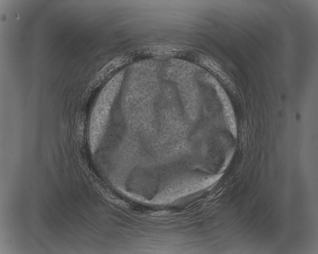 X0000081470309200702021839