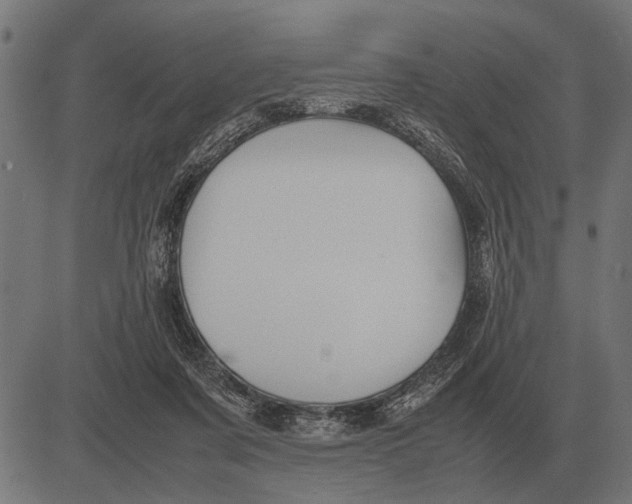 X0000081470311200702021839