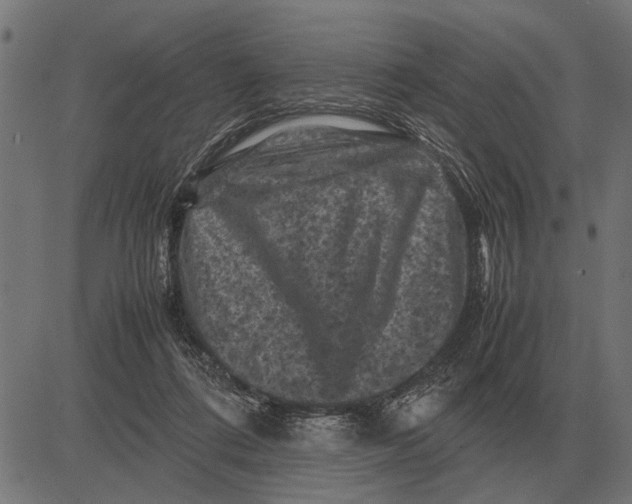 X0000081470312200702021839