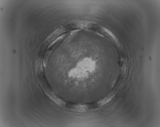 X0000081470313200702021839