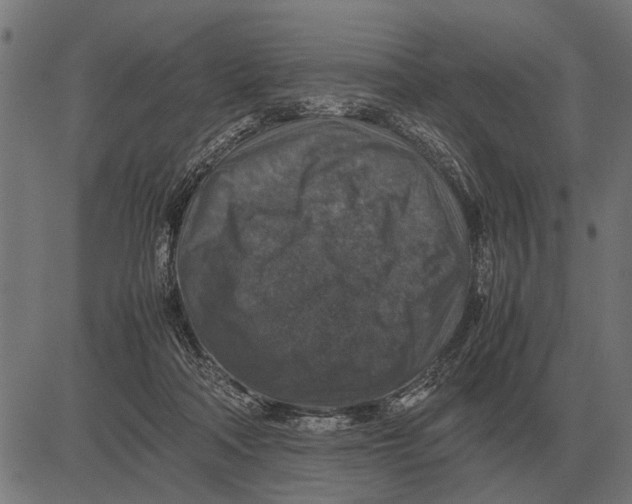 X0000081470314200702021839